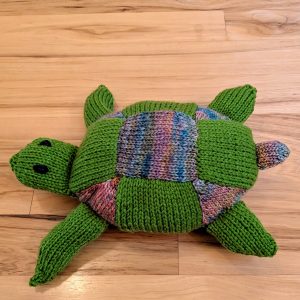 Sea Turtle