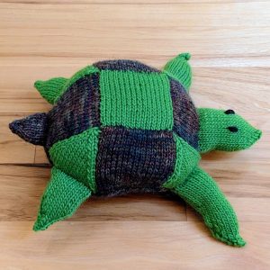 Sea Turtle
